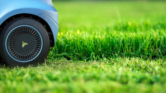 What is Lawn Scalping and When Should You Do It?